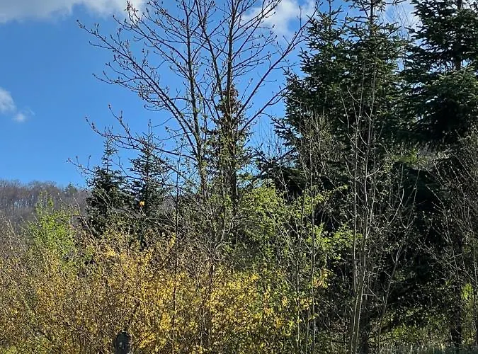 Sommerhaus Josefa Mühldorf