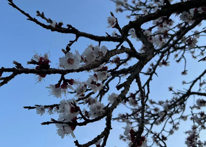 Sommerhaus Josefa * Mühldorf